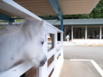 乗馬クラブクレイン北大阪のイメージ写真2
