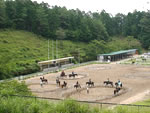 乗馬クラブクレイン北大阪のイメージ写真3