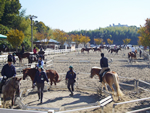 乗馬クラブクレイン京都のイメージ写真4