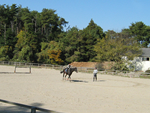 甲賀乗馬クラブのイメージ写真1