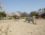 京都乗馬クラブのイメージ写真1