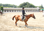 杉谷乗馬クラブのイメージ写真1